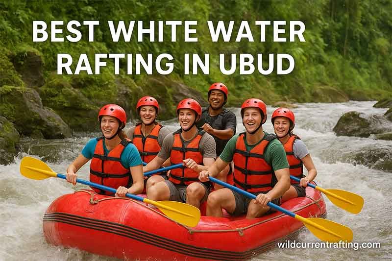 Best White Water Rafting in Ubud - Wild Current Rafting