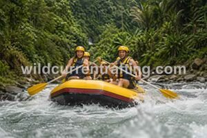 whitewater rafting near me