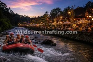things to do in ubud bali at night