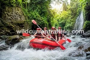 top rated rafting companies in ubud