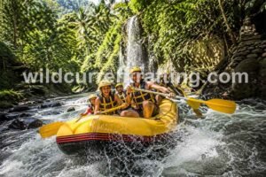 bali jungle adventure activities