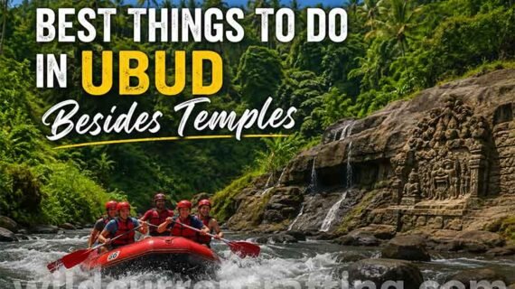 Best Things to Do in Ubud Besides Temples