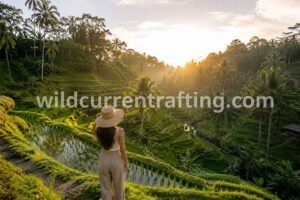 what time should you visit Bali rice terraces