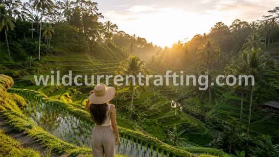 What Time Should You Visit Bali Rice Terraces?